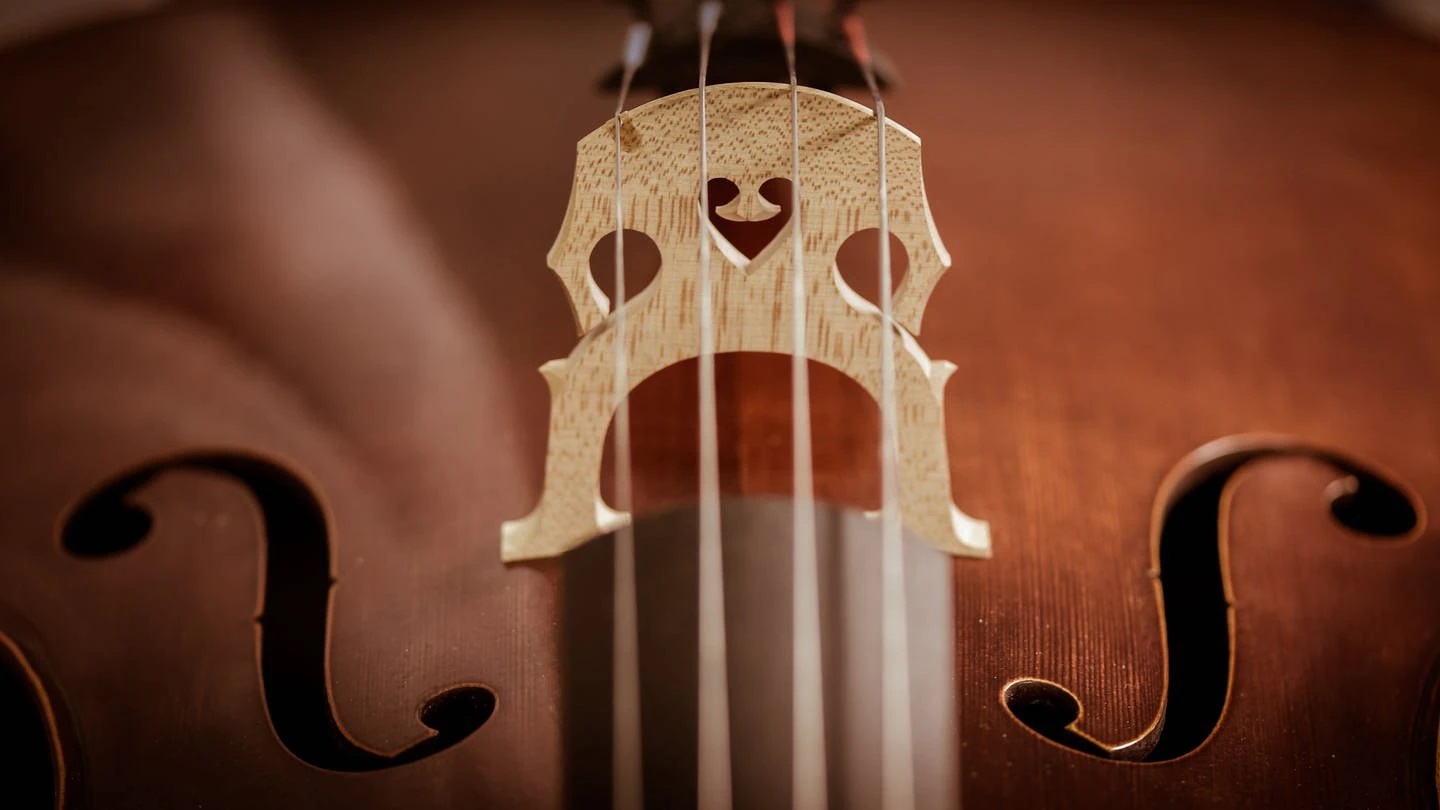 SWR Symphonieorchester Kammerkonzert